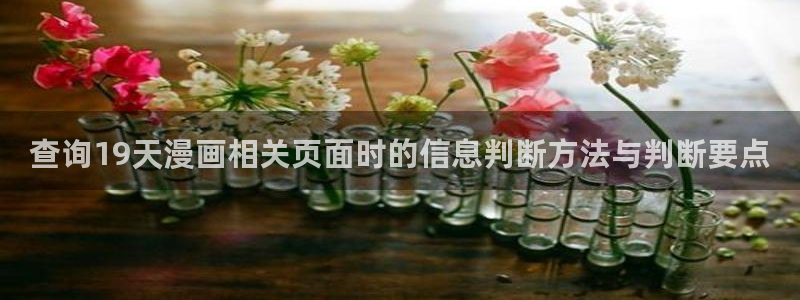奇幻漫画:查询19天漫画相关页面时的信息判断方法与判断要点