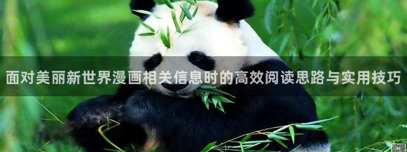 免费漫画大全:面对美丽新世界漫画相关信息时的高效阅读思路与实用技巧