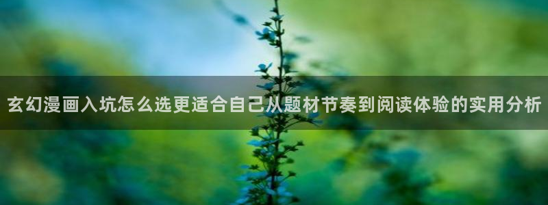 拷贝漫画官网：玄幻漫画入坑怎么选更适合自己从题材节奏到阅读体验的实用分析