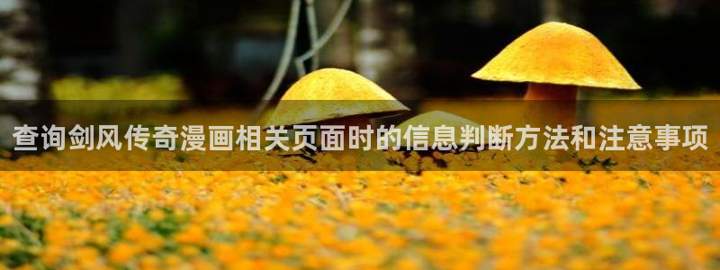 体育漫画:查询剑风传奇漫画相关页面时的信息判断方法和注意事项